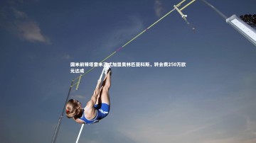 【九游体育】国米前锋塔雷米正式加盟奥林匹亚科斯，转会费250万欧元达成