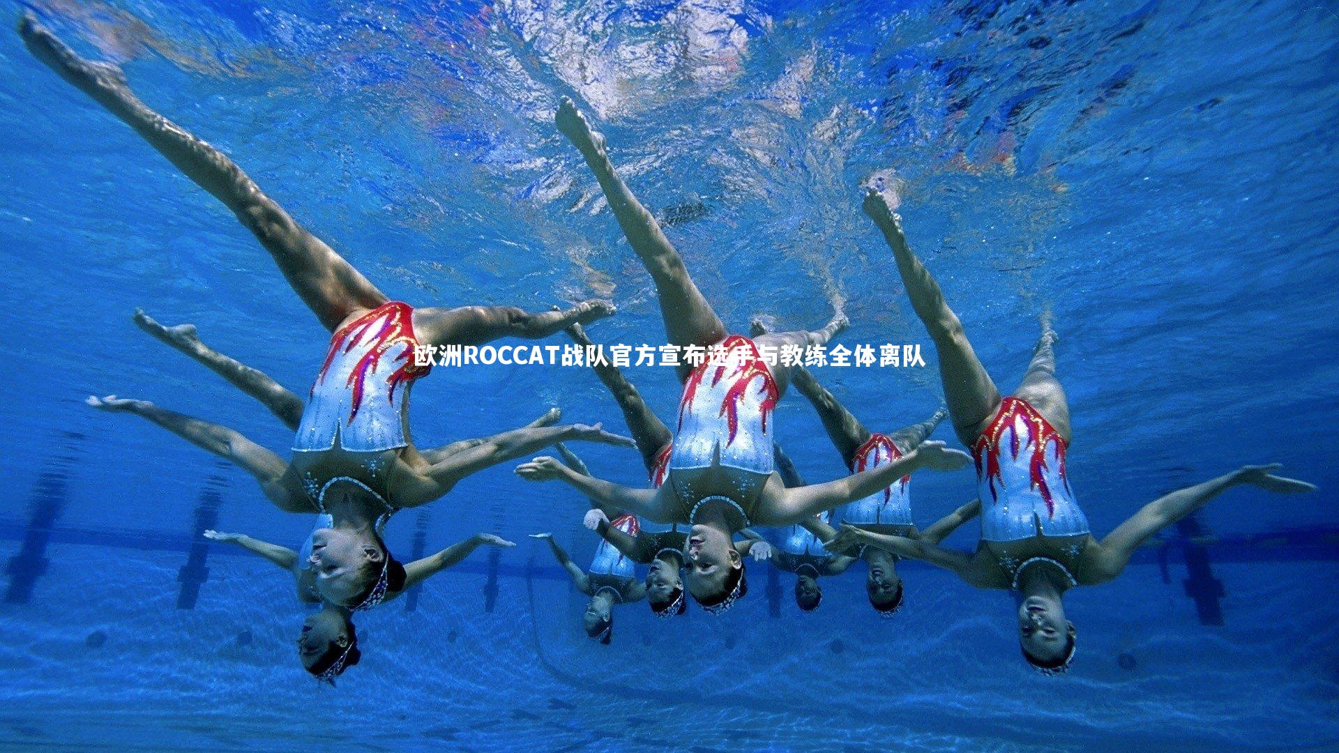 欧洲ROCCAT战队官方宣布选手与教练全体离队